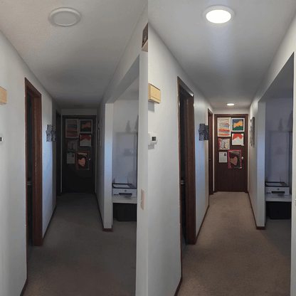 SteadiHome™ Motion Sensor Light